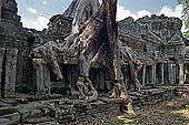 Preah Khan temple - east gopura of the third enclosure, monumental silk-cotton trees.